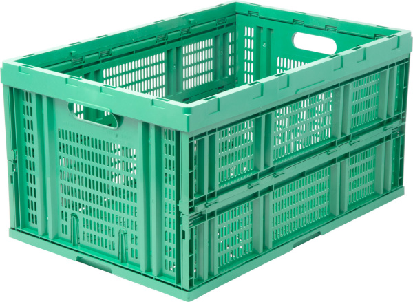 359889023_w640_h640_407_shag2