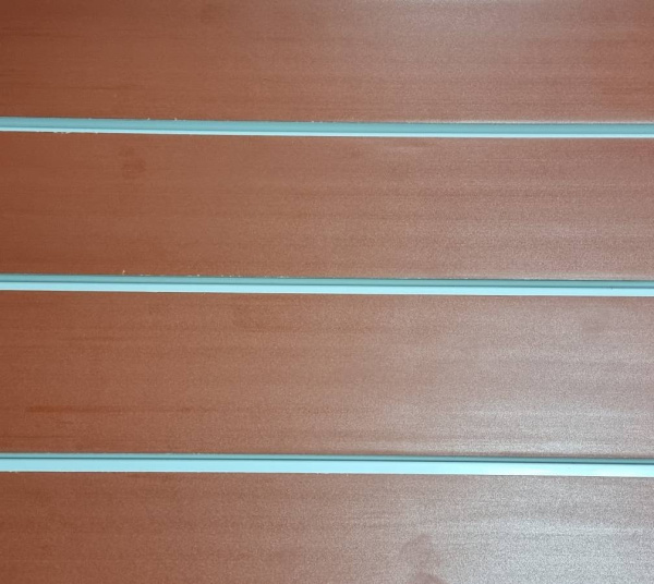 yekonompanel-oranzhevaya