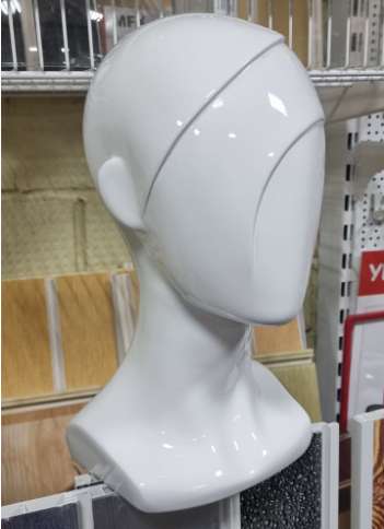 голова мужская