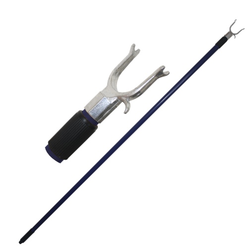 fe42a531bf50bffed644533de506bfbb