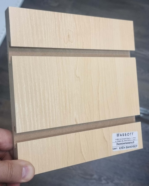 экономпанель