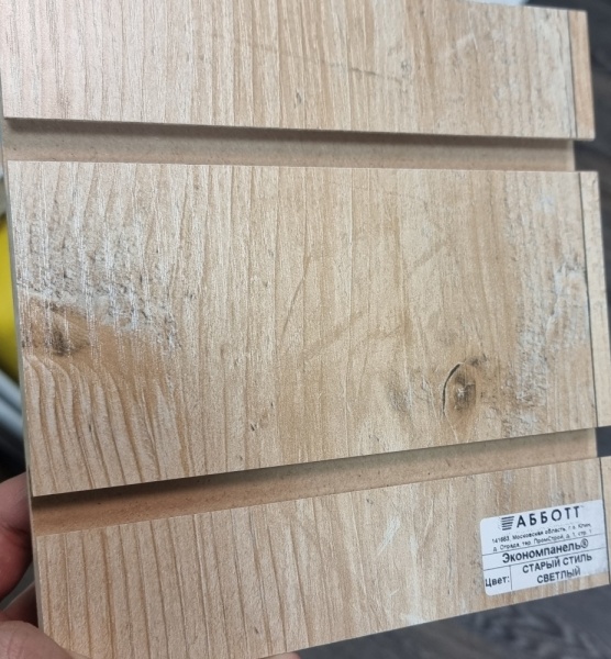 экономпанель