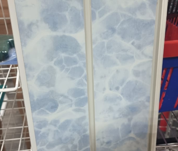 golubaya-yekonompanel