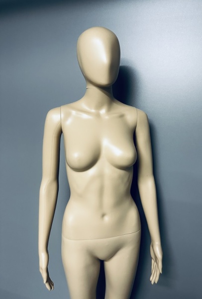 maneken-zhenskij-vo-ves-rost-telesnyj-bezlikij-f10hc1_01