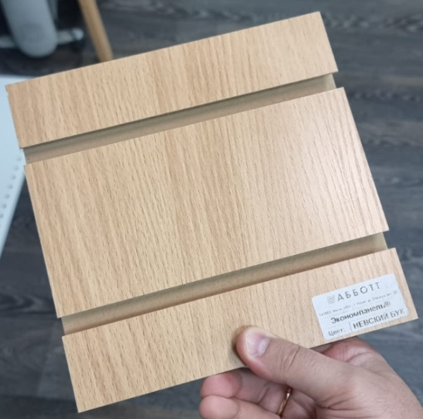 экономпанель