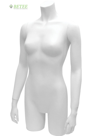 tors_basic_C_02